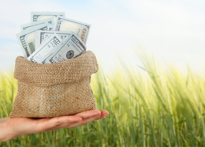 untitled design (10)